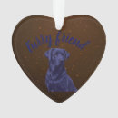 Search for pet supplies Furry friend