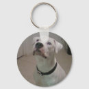 Search for bully dog key rings Cute