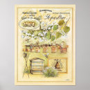Search for beekeeping posters Apiary