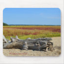 Search for saltwater electronics Beach