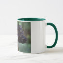 Search for polish chickens mugs Bird