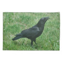 Search for grass pillowcases Nature