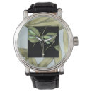Search for dragonfly watches Botanical