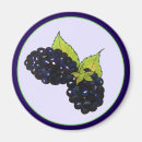 Search for blackberries magnets Garden