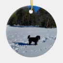 Search for cross country christmas tree decorations Snow