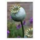 Search for seed pod cards Nature