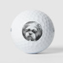 Search for shih tzu golf equipment Pets