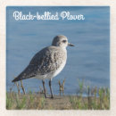 Search for belly coasters Bird