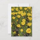 Search for beautiful blank cards Flowers