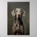 Search for weimaraner posters Grey