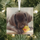 Search for chocolate lab christmas tree decorations Cute