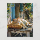 Search for garden benches postcards Peaceful