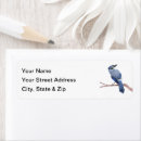 Search for blue jay return address labels Animal