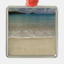 Search for attraction christmas tree decorations Ocean