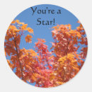 Search for tree fall stickers Red