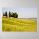 Search for selective posters Field