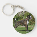 Search for boxer dog key rings Canine photographer