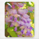 Search for wisteria mouse mats Nature