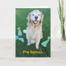 Search for happens cards Dog