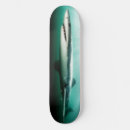 Search for predator skateboards Shark