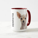 Search for chihuahua pictures mugs Pets