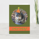 Search for funny squirrel pictures cards Humour