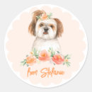 Search for shih tzu dog stickers Watercolor