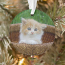 Search for long haired cat christmas tree decorations Fluffy