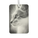 Search for black and white cat car accessories Kitten