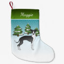 Search for greyhound christmas stockings Iggy