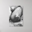 Search for seals canvas prints Nature