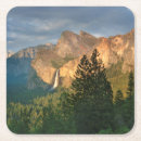 Search for california coasters Forest