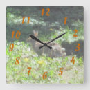 Search for wild clocks Meadow