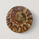 Search for snail badges Shell