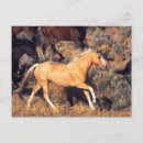 Search for horse runs postcards Gallop