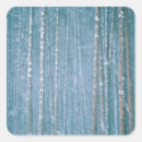 Search for na stickers North america