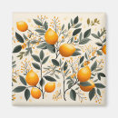 Search for leafy magnets Summer