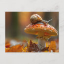Search for wild mushrooms postcards Cute