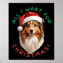 Search for sheepdog posters Shetland