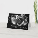 Search for white rose sympathy cards Black