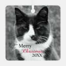 Search for white cat christmas tree decorations Tuxedo