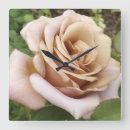 Search for mauve clocks Roses
