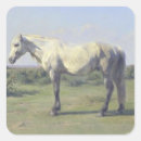 Search for grey horse stickers Equine