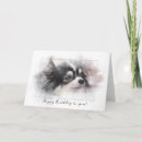 Search for pomeranian birthday cards Cute
