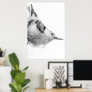 Search for nuthatch posters Ornithology