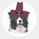 Search for thanksgiving dog stickers Puppy