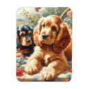 Search for cocker spaniel magnets Puppy