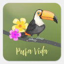 Search for pura vida stickers Costa rica