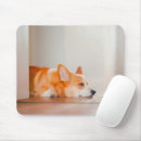 Search for cute corgi mouse mats Queen's dog