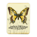 Search for butterfly magnets Wildflowers